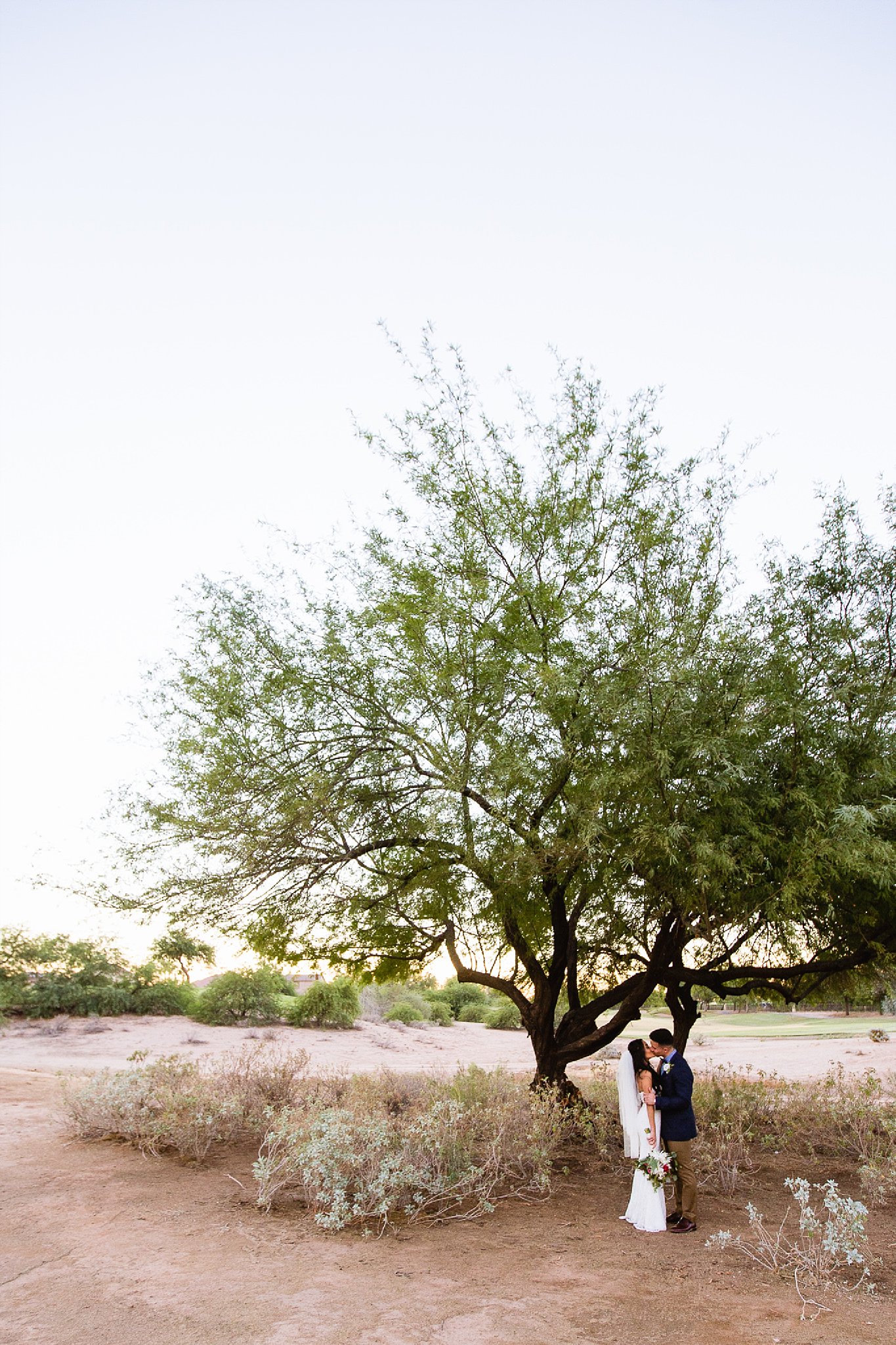 Bride and Groom kiss in front of desert tree at Legacy Golf Resort in Phoenix, Arizona by PMA Photography