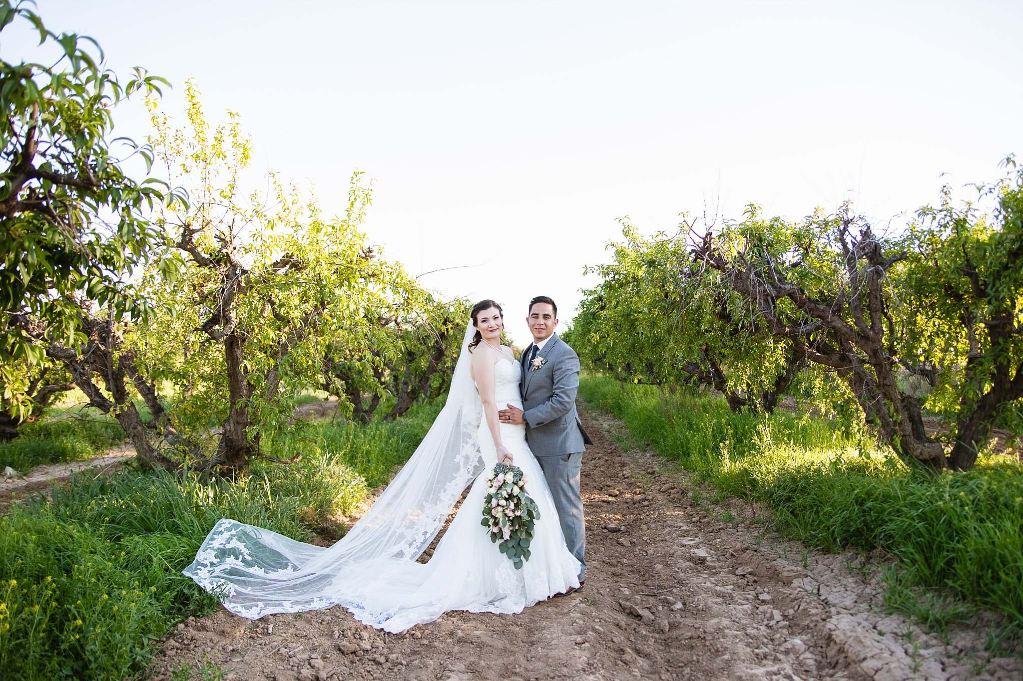 Kara & Osman Schnepf Farms Wedding Queen Creek AZ By PMA Photography