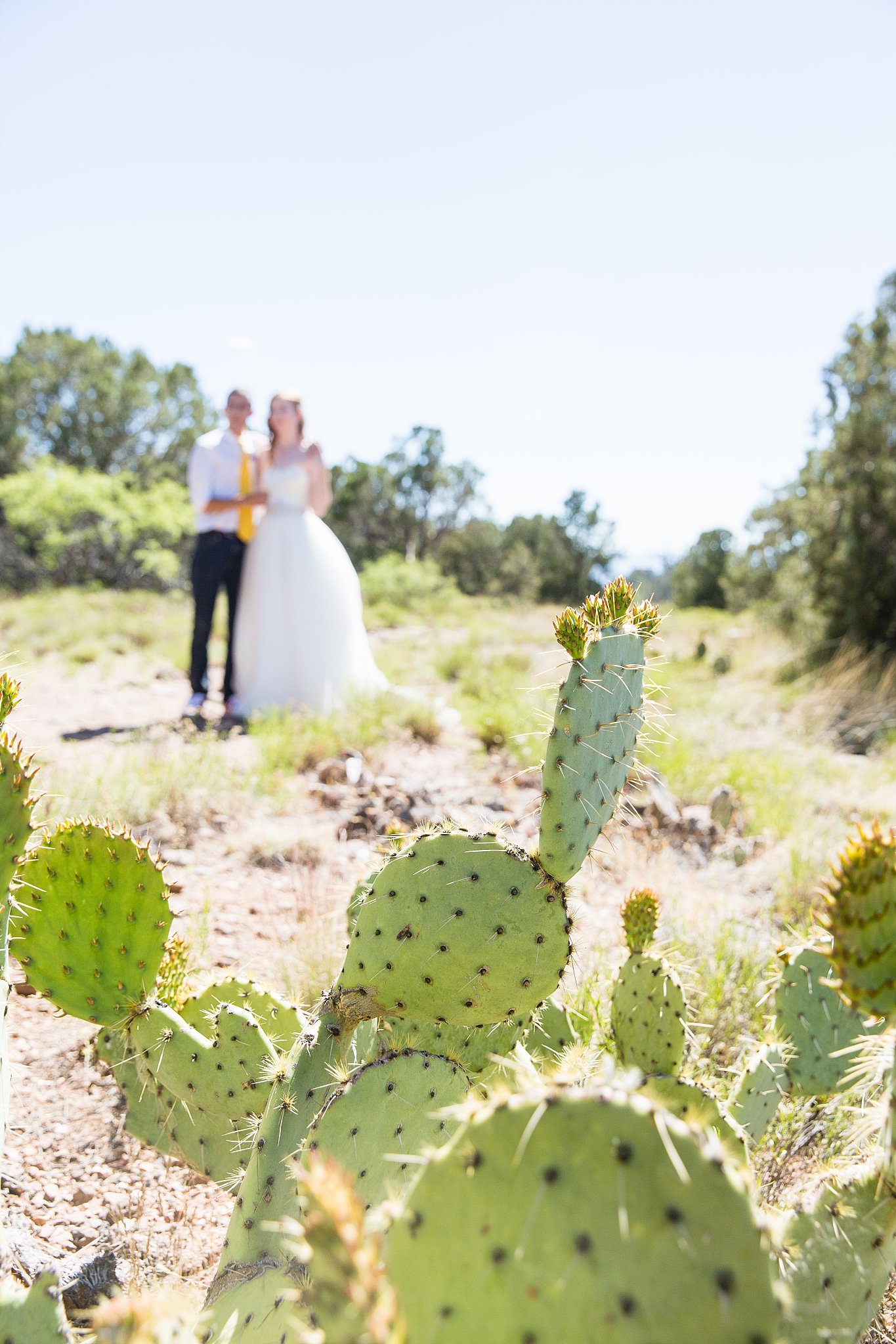 Bride and groom walking together in the background of a cactus by Arizona wedding photographer PMA Photography.