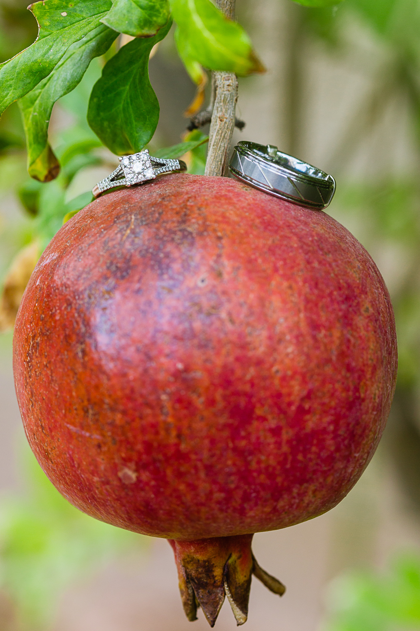 Wedding rings on top of a pomegranate by Phoenix wedding photographers PMA Photography.