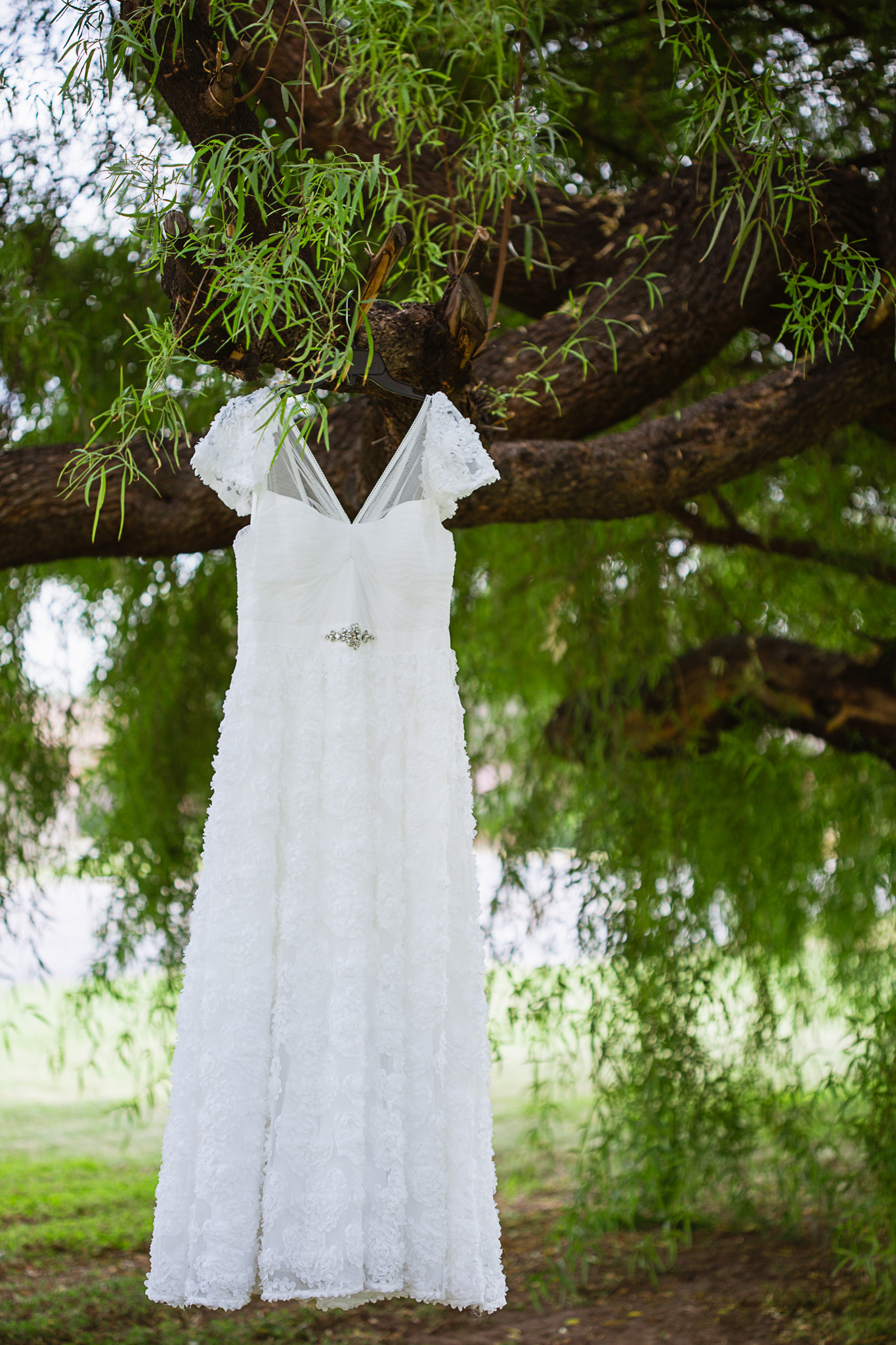 Simple wedding dress with roses hanging from a tree by PMA Photography.