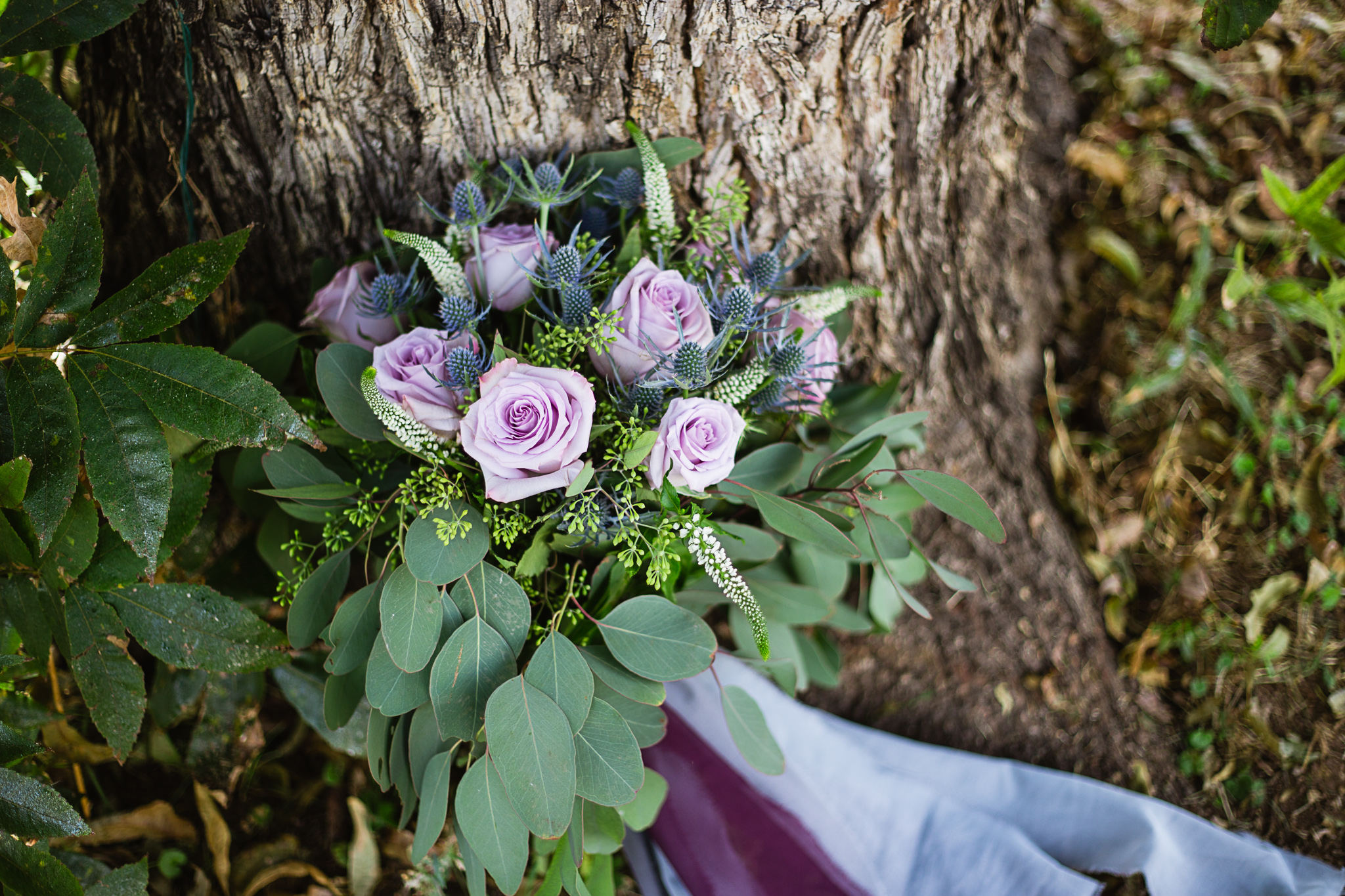 Dusty purple and blue bridal bouquet with roses and thistle by Arizona wedding photographers PMA Photography.