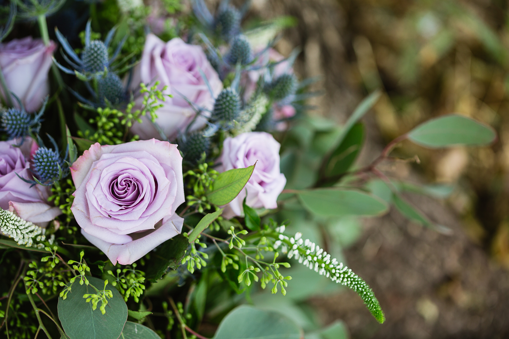 Lavender rose, eucalyptus, and thistle bridal bouquet by PMA Photography.