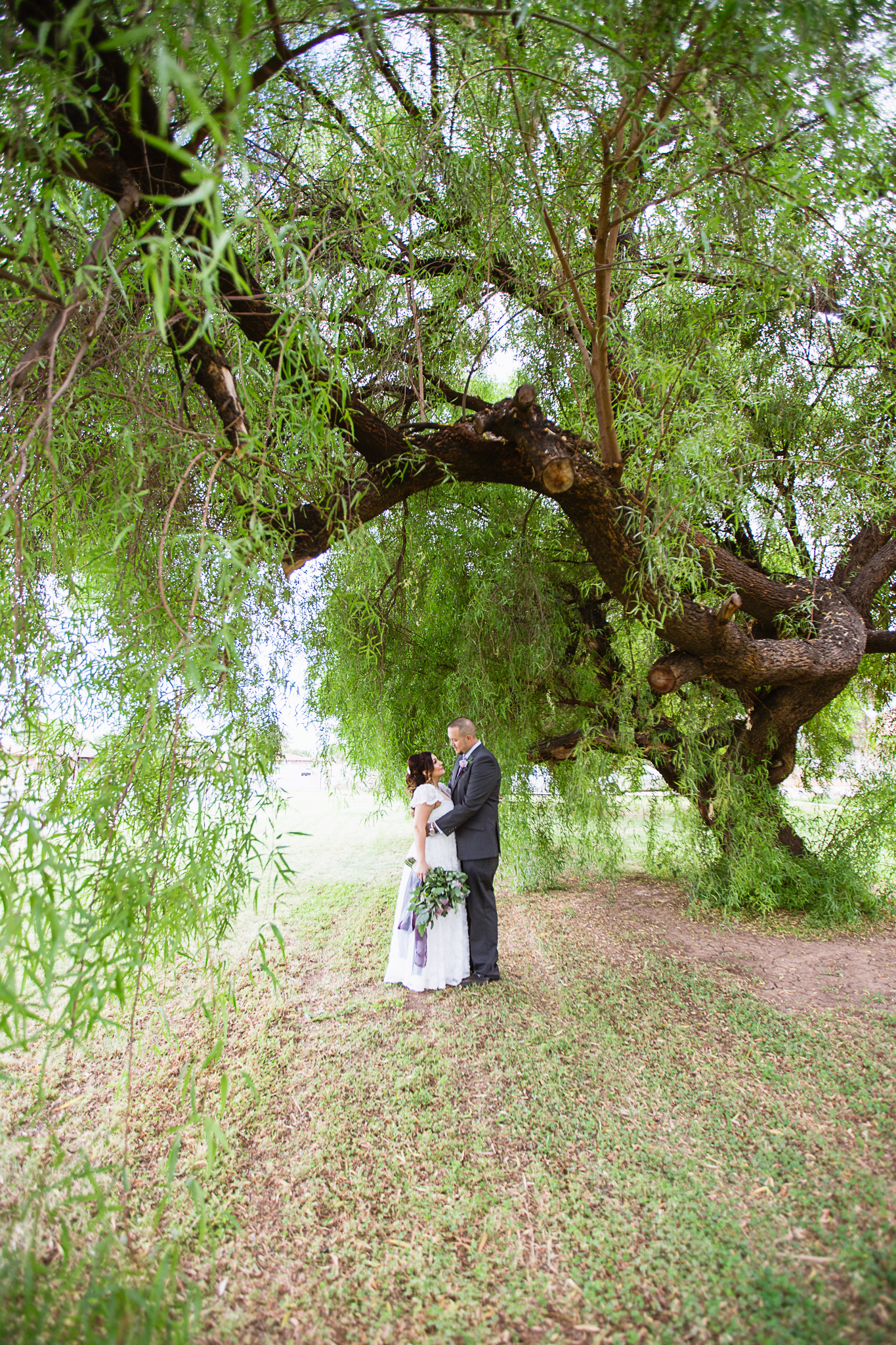 Bride and groom share an intimate moment entwined in a tree by Phoenix wedding photographer PMA Photography.