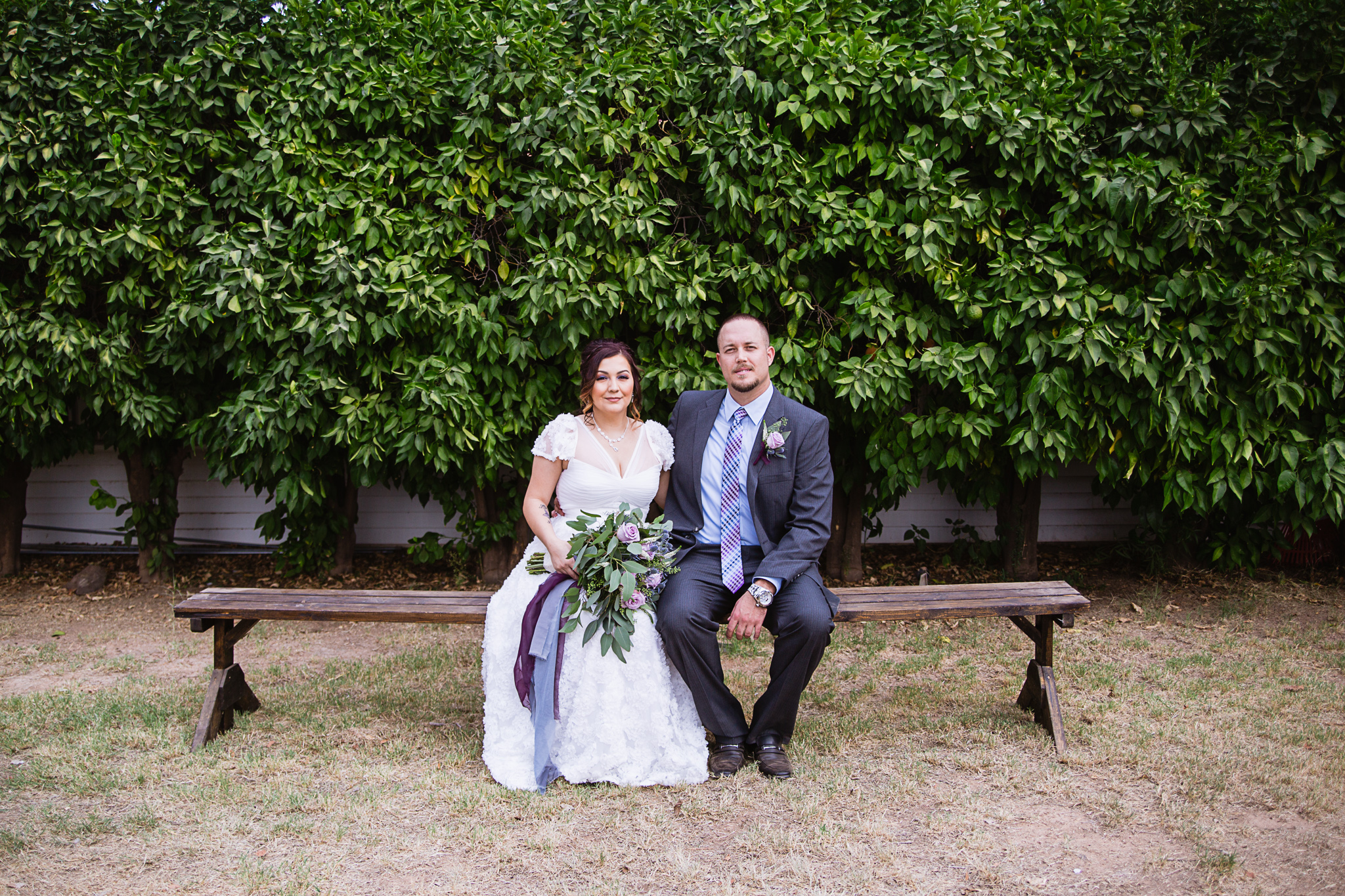 Bride and groom sitting on a bench in front of citrus trees by Arizona wedding photographers PMA Photography.