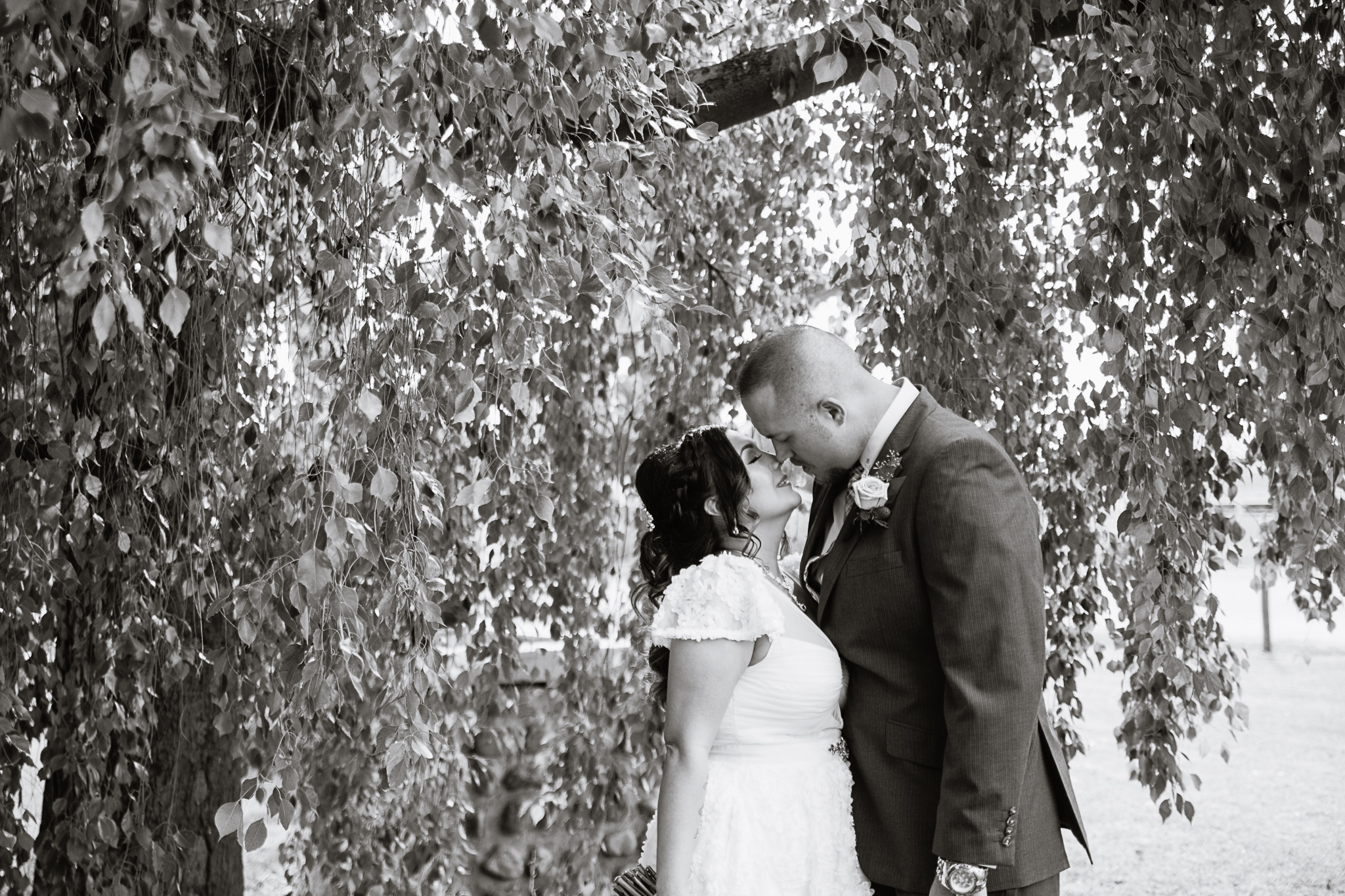 Black and white image of bride and groom kissing in front of a cottonwood tree by Arizona photographer PMA Photography.