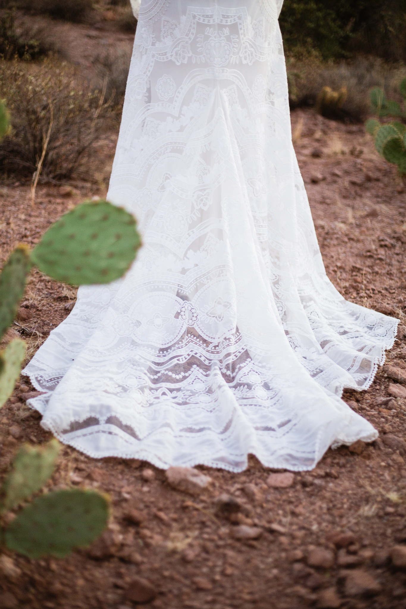 Lace trail of a bohemian dress from Rue De Seine at a desert wedding.