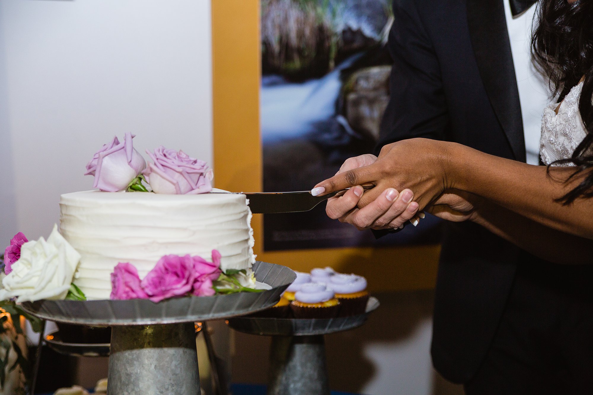 Bride and groom cutting their simple white cake during their reception at the Rio Salado Audubon center by Phoenix wedding photographer PMA Photography.