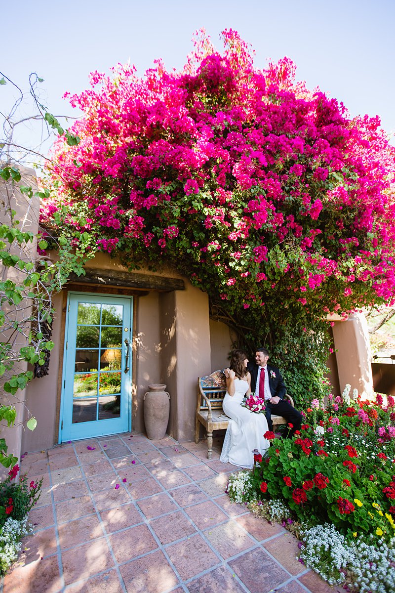 Bride and groom sitting in a garden under a bougainvillea at Hermosa Inn in Phoenix Arizona by wedding photographers PMA Photography.