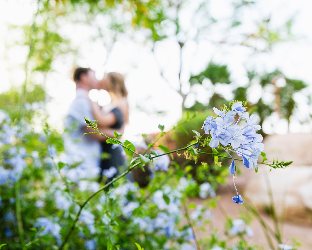 Couple kissing each other in a purple garden at Anthem Community Park by Arizona engagement photographer PMA Photography.