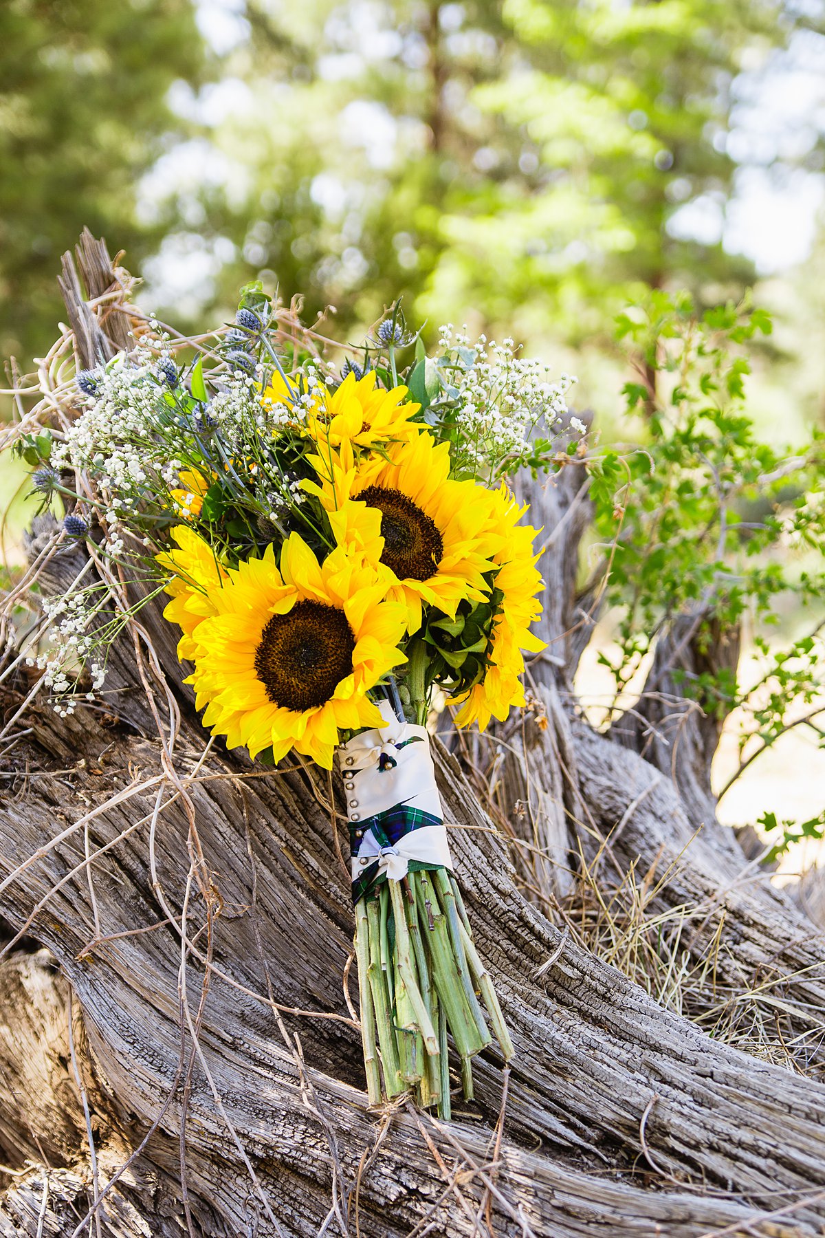 DIY sunflower, eucalyptus, baby's breath, and thistle bridal bouquet for a navy and yellow wedding.