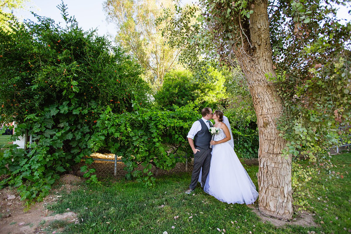Bride and groom look at each other at their DIY Backyard wedding by Arizona wedding photographers PMA Photography.