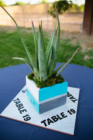 Simple centerpiece of an aloe plant in a DIY turquoise and grey wooden planter on tiles with the table number. Image by PMA Photography.