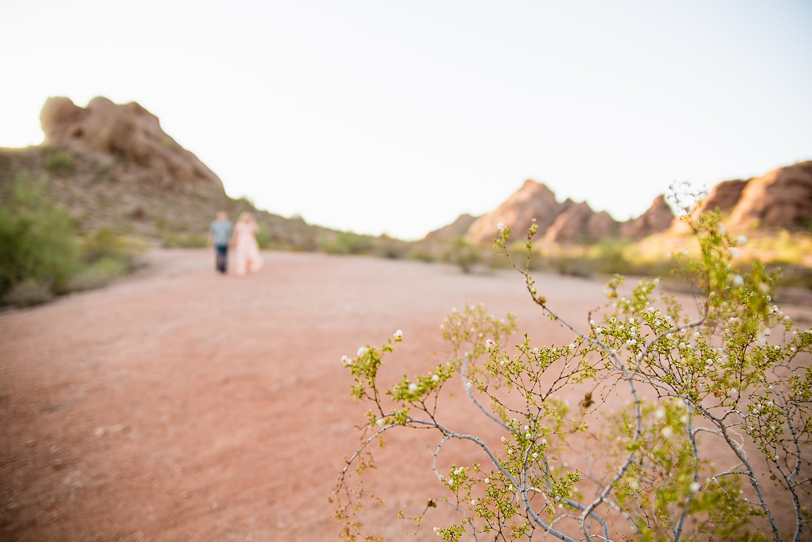 Couple walking through the desert during their Papago Park engagement session by Phoenix engagement photographer PMA Photography.
