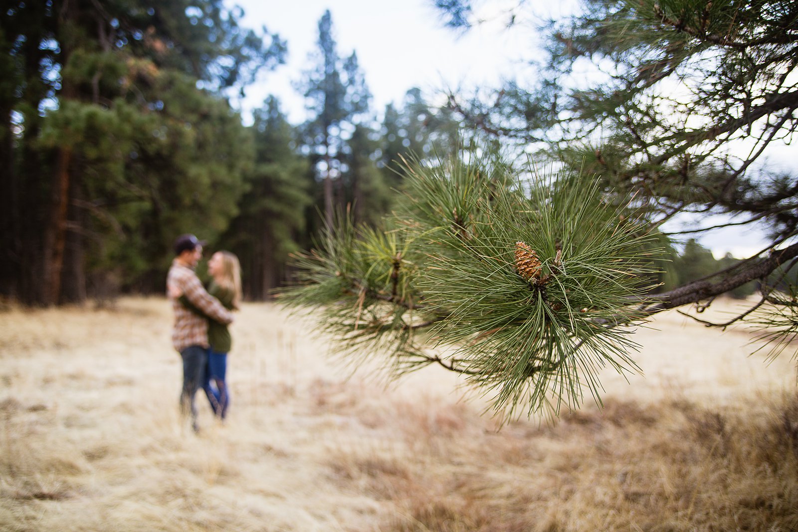 Couple in the background of a pine tree during their end of winter Flagstaff engagement session by PMA Photography.