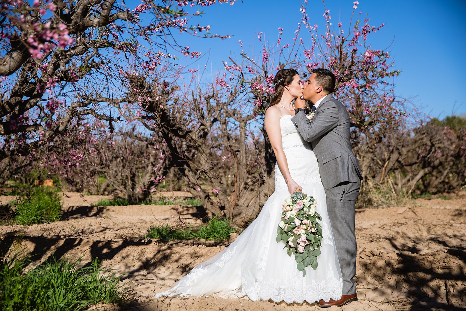 Bride and groom share a kiss during their Schnepf Farms wedding by Queen Creek wedding photographer PMA Photography.
