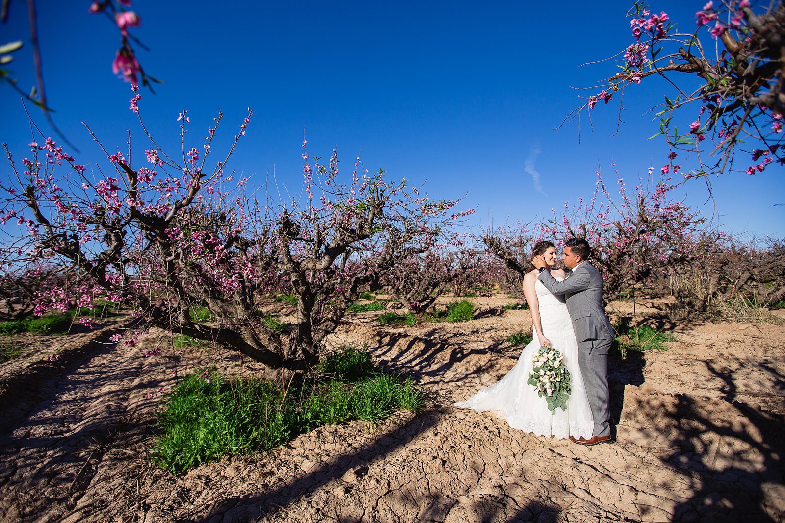 Bride and groom share an intimate moment at their Schnepf Farms wedding by Arizona wedding photographer PMA Photography.
