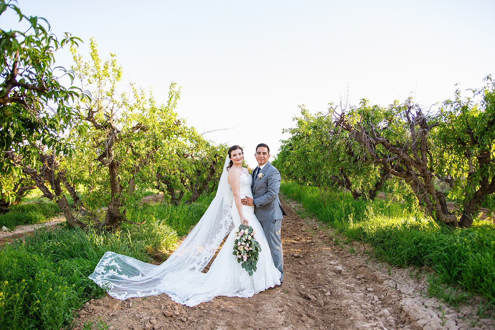 Bride and groom pose during their Schnepf Farms wedding by Arizona wedding photographer PMA Photography.