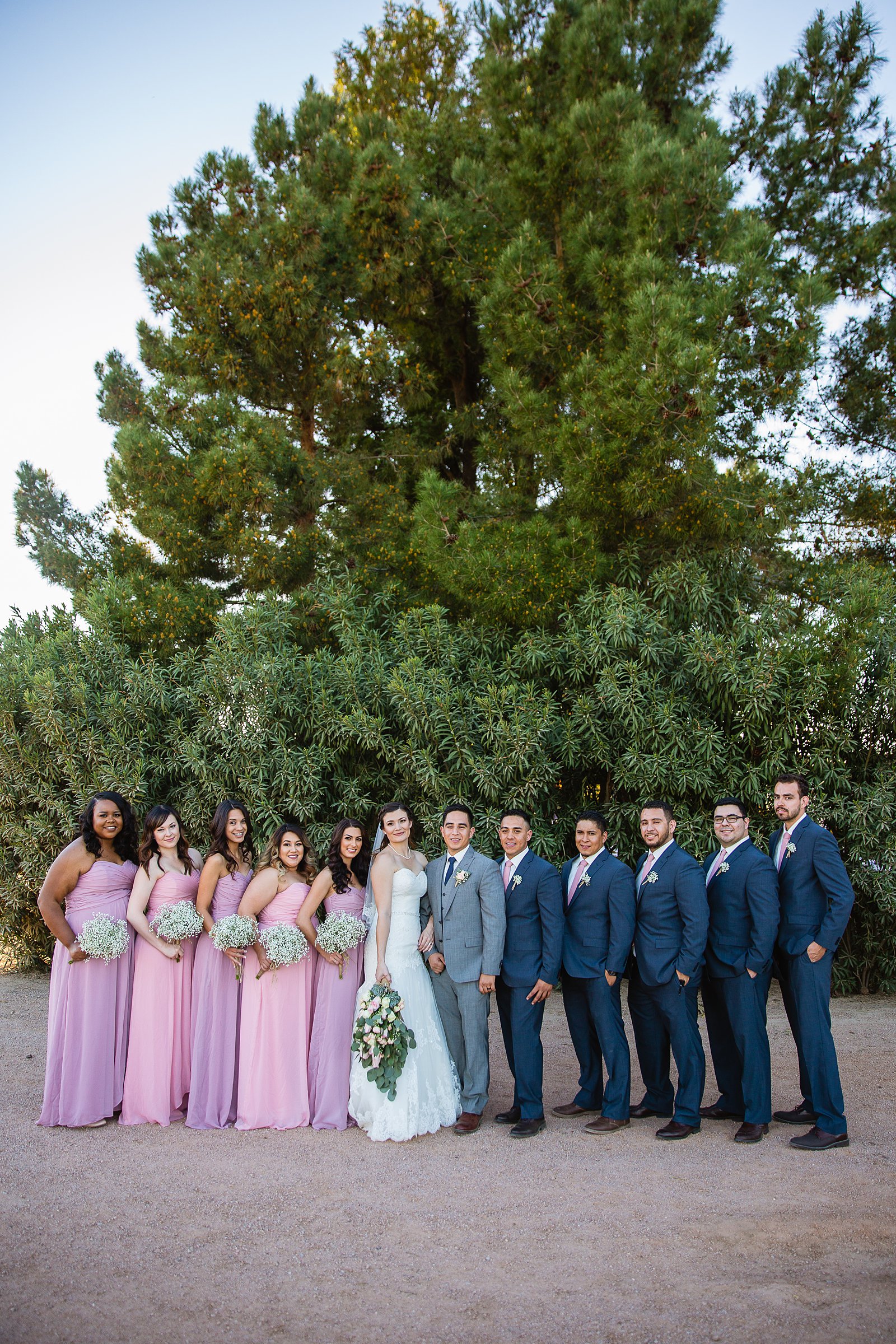 Bridal party together at a Schnepf Farms wedding by Arizona wedding photographer PMA Photography.