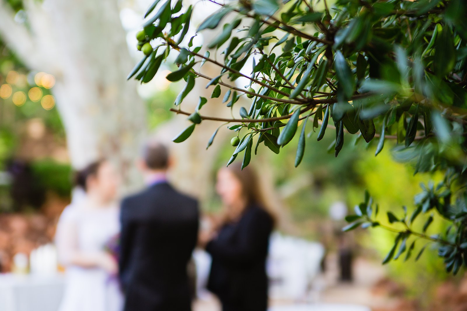 Wedding ceremony at L'Auberge de Sedona by Arizona wedding photographer PMA Photography.