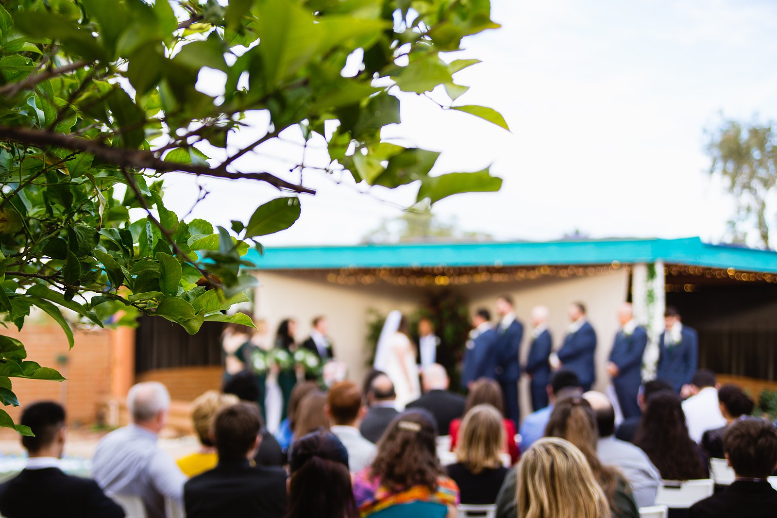 Backyard wedding ceremony by Arizona wedding photographer PMA Photography.