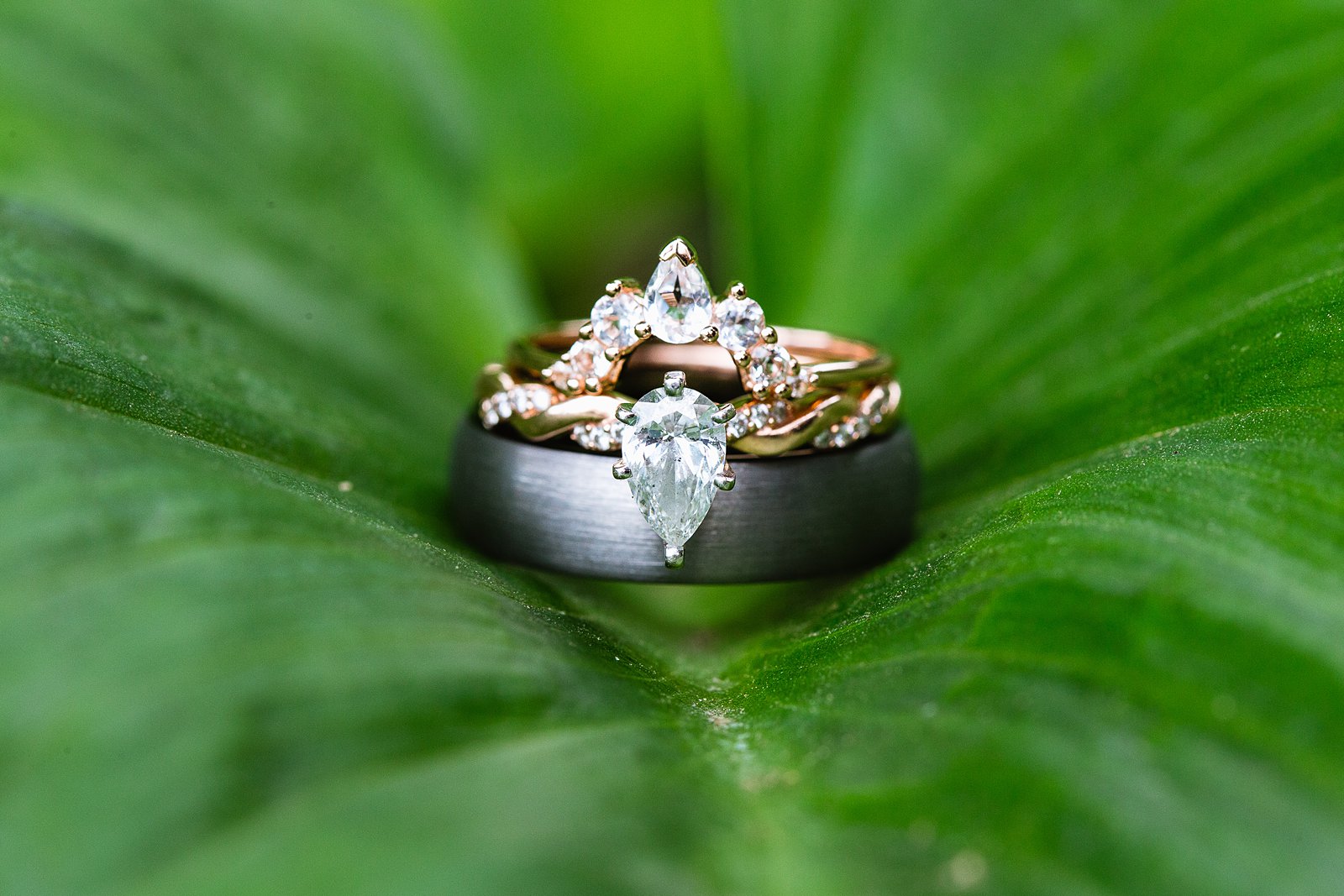 Bride and groom's unique wedding rings on a leaf for their garden wedding by PMA Photography.