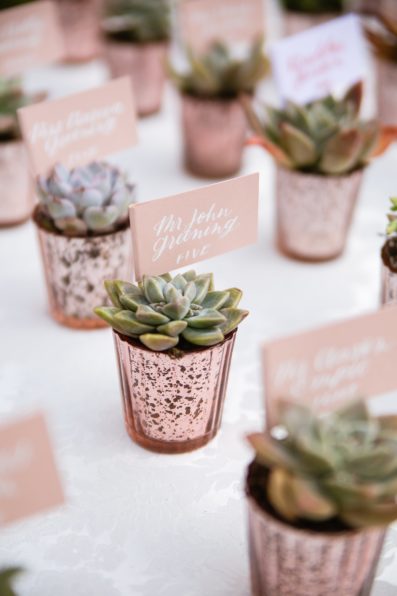 Planted succulent wedding favor and table card by Bloom + Blueprint photographed by Arizona wedding photographer PMA Photography.
