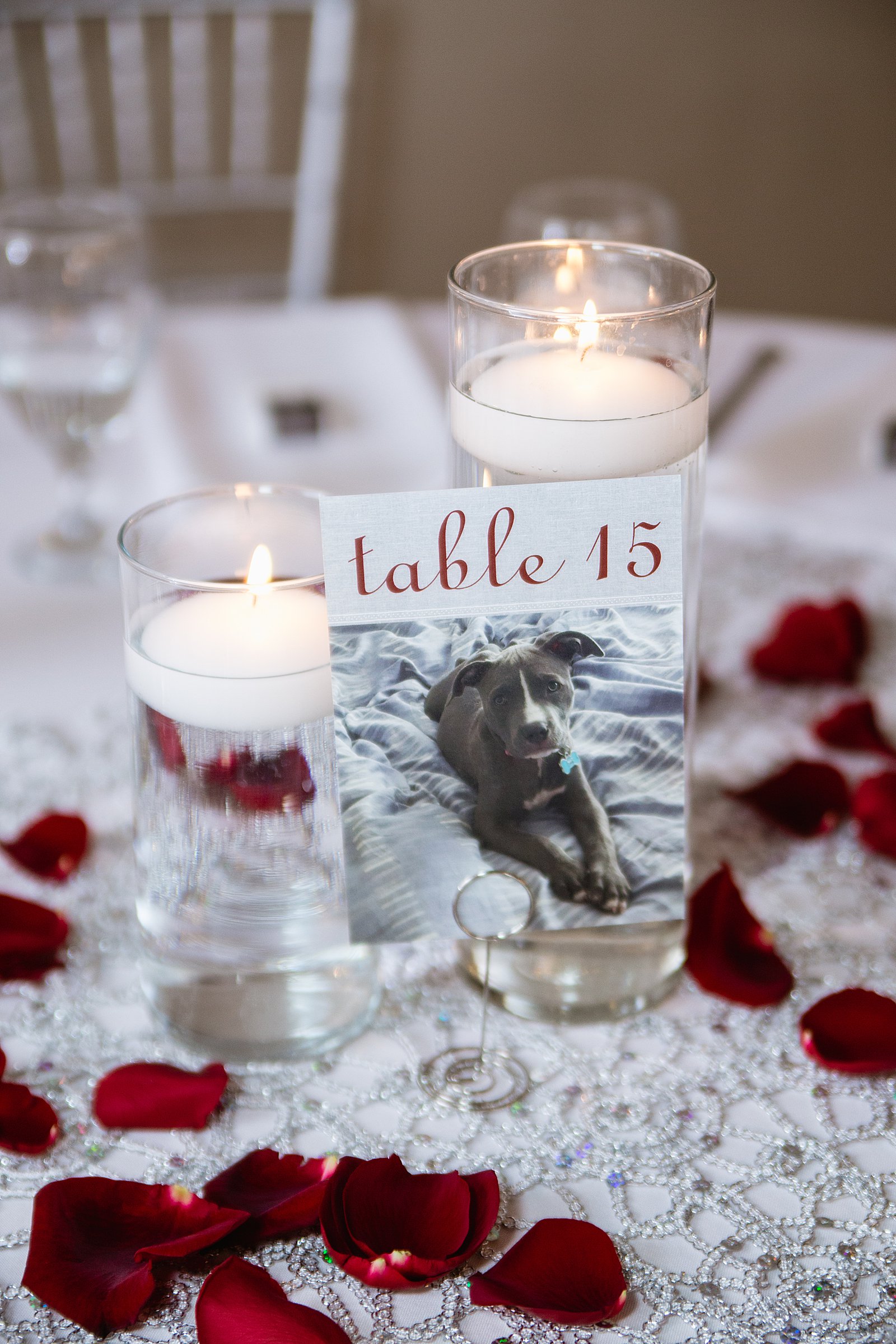 Simple modern centerpieces at SoHo63 wedding reception by Chandler wedding photographer PMA Photography.