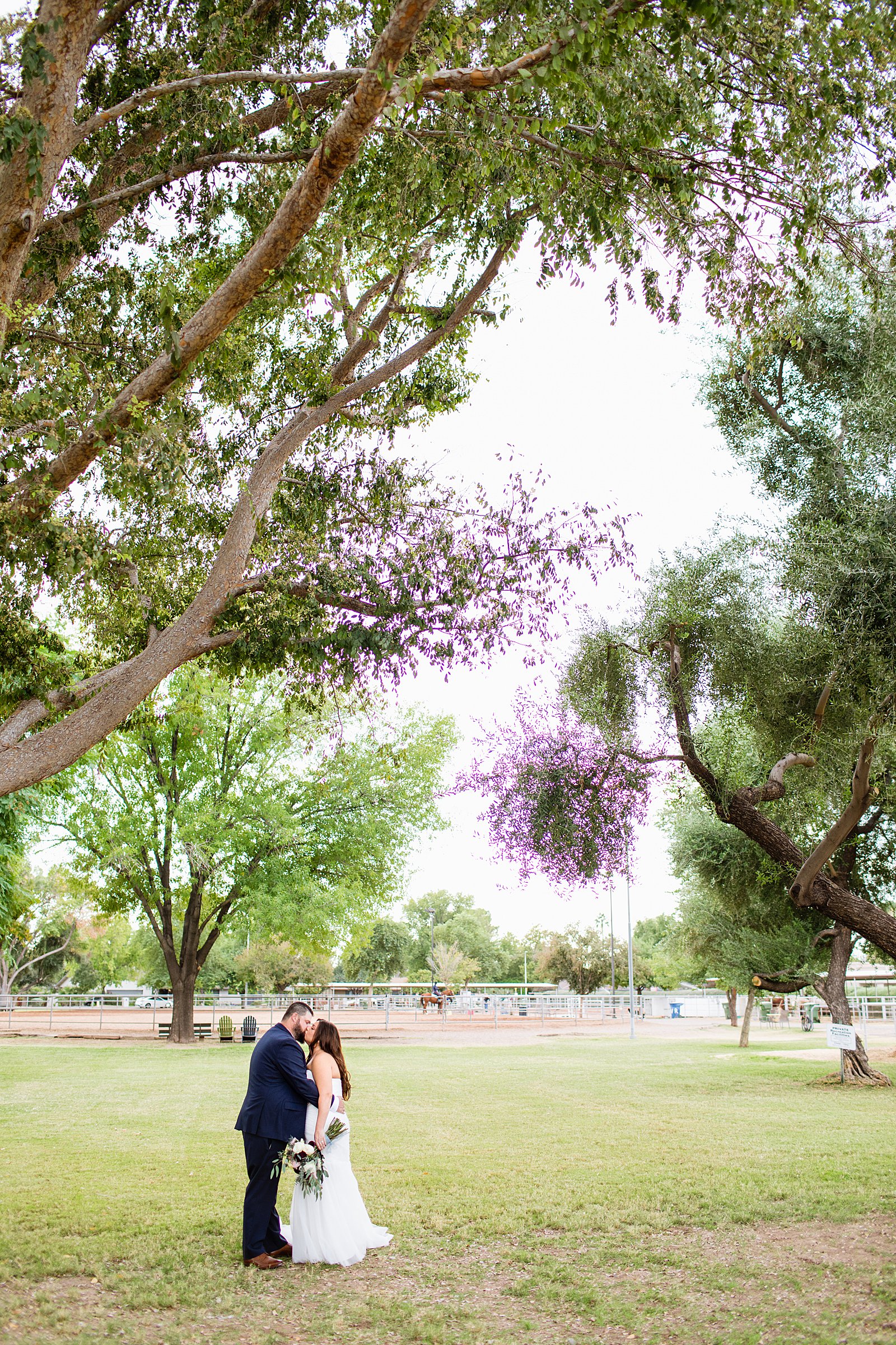 Bride and Groom share a kiss during their Arizona backyard wedding by Tempe wedding photographer PMA Photography.