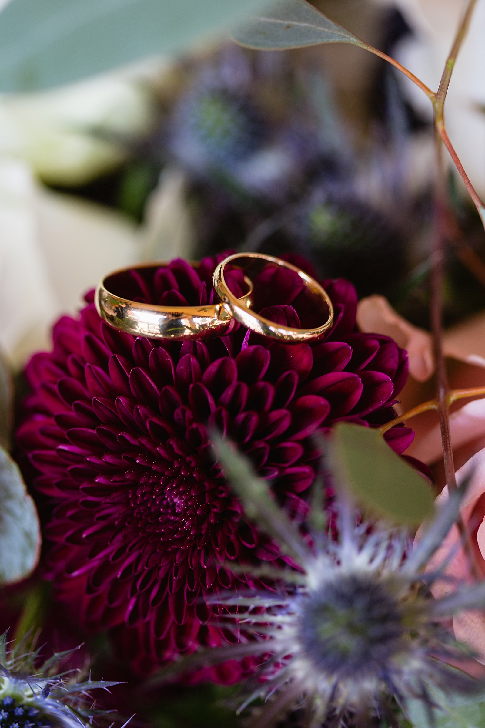 Bride and groom's matching simple gold wedding rings on a maroon flower by PMA Photography.