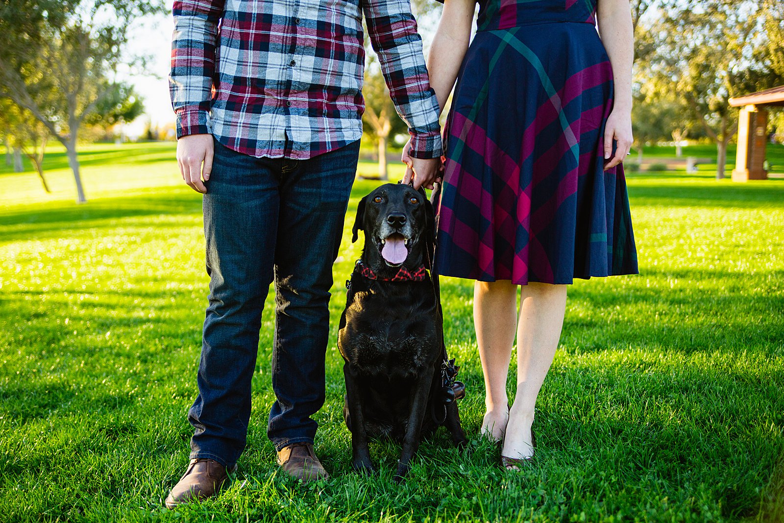 Couple pose with their dog during their Phoenix engagement session by Arizona wedding photographer PMA Photography.