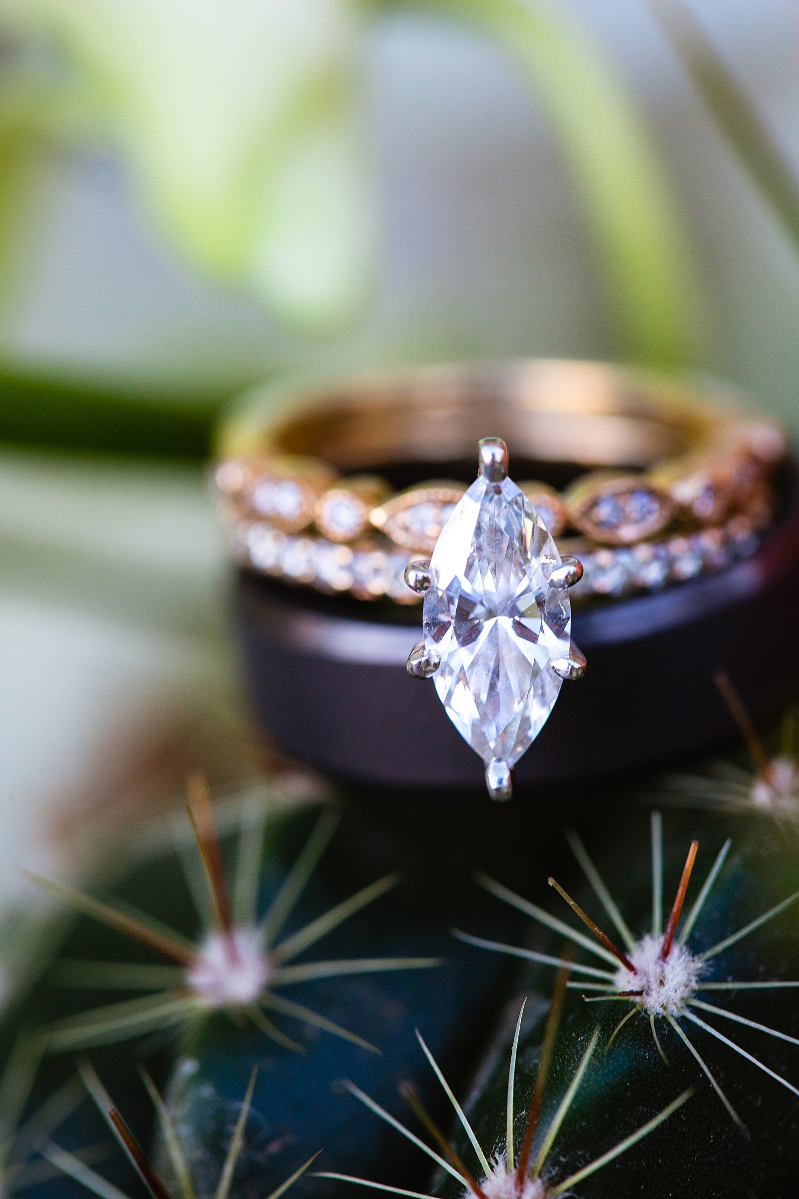 Bride's unique gold marquise wedding ring and groom's black wedding band on a cactus by PMA Photography.
