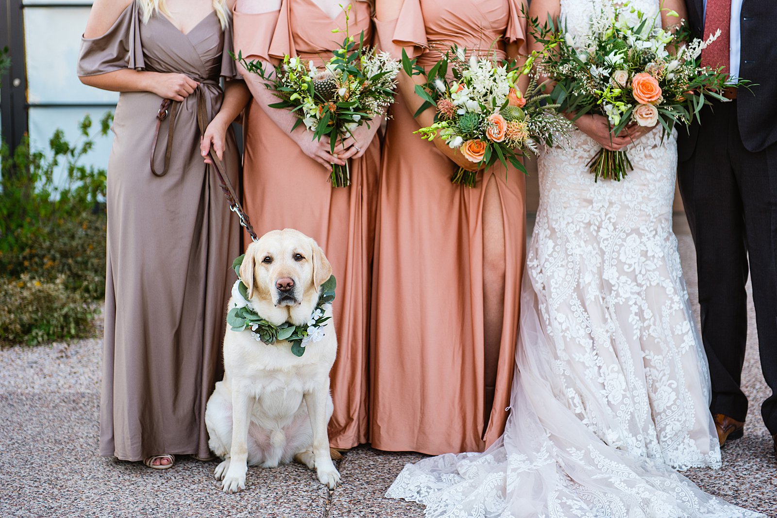 Wedding day dog with the bridal party at The Paseo wedding by Arizona wedding photographer PMA Photography.