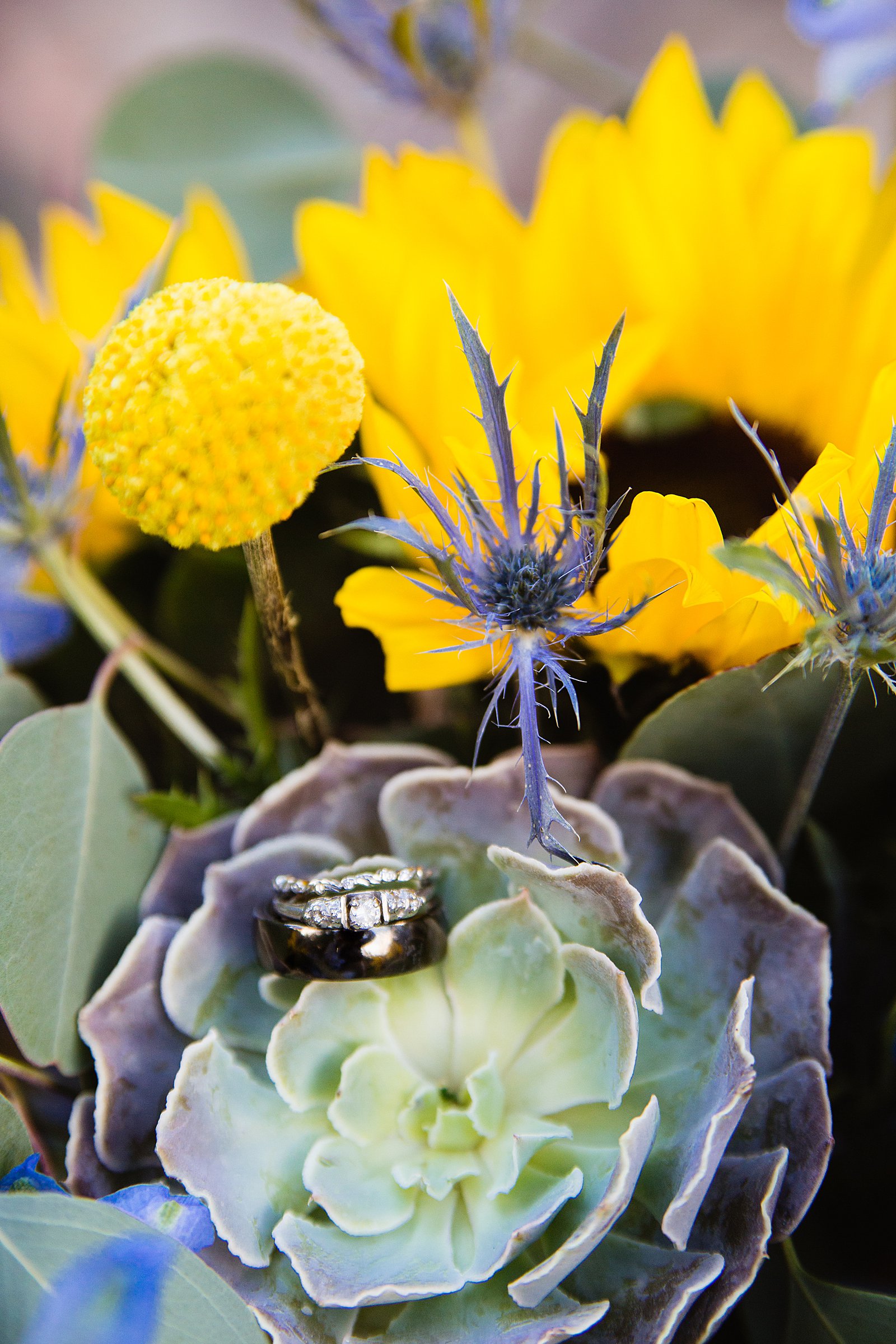 Bride and groom's wedding rings on a yellow and succulent bouquet by PMA Photography.