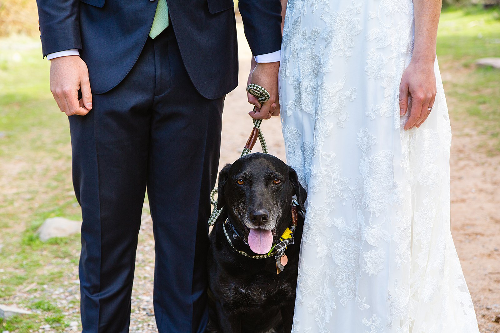 Bride and groom hold hands with their dog during their Sedona elopement by PMA Photography.
