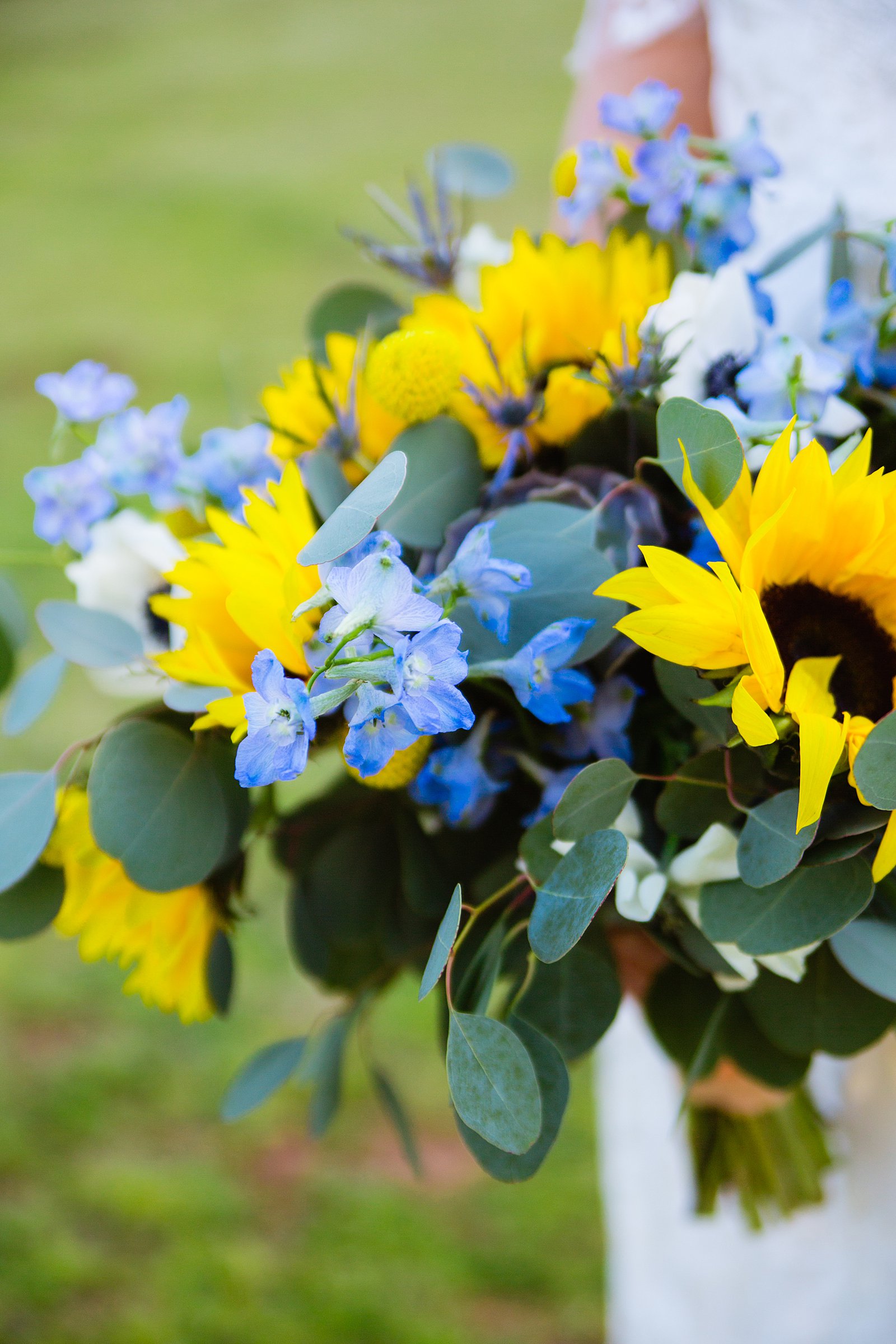 Brides colorful spring time blue and yellow sunflower bouquet by PMA Photography.
