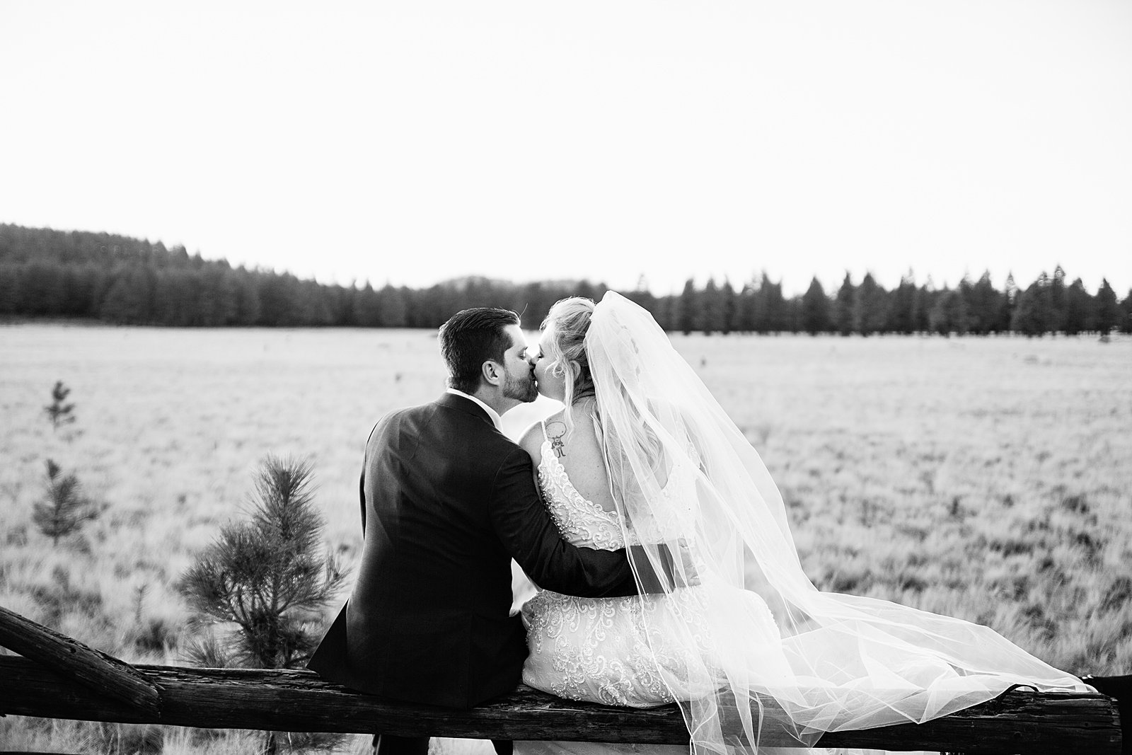 Bride and groom share a kiss on a fence near a field by Flagstaff wedding photographer PMA Photography.