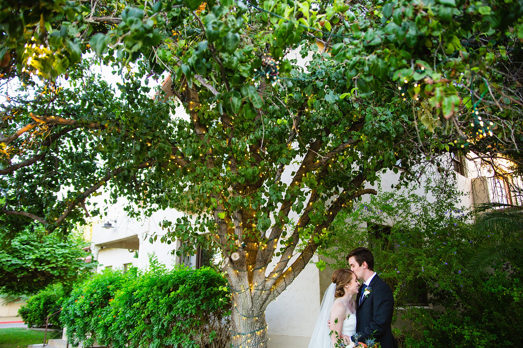 Bride and Groom share a kiss during their Secret Garden Events wedding by Phoenix wedding photographer PMA Photography.