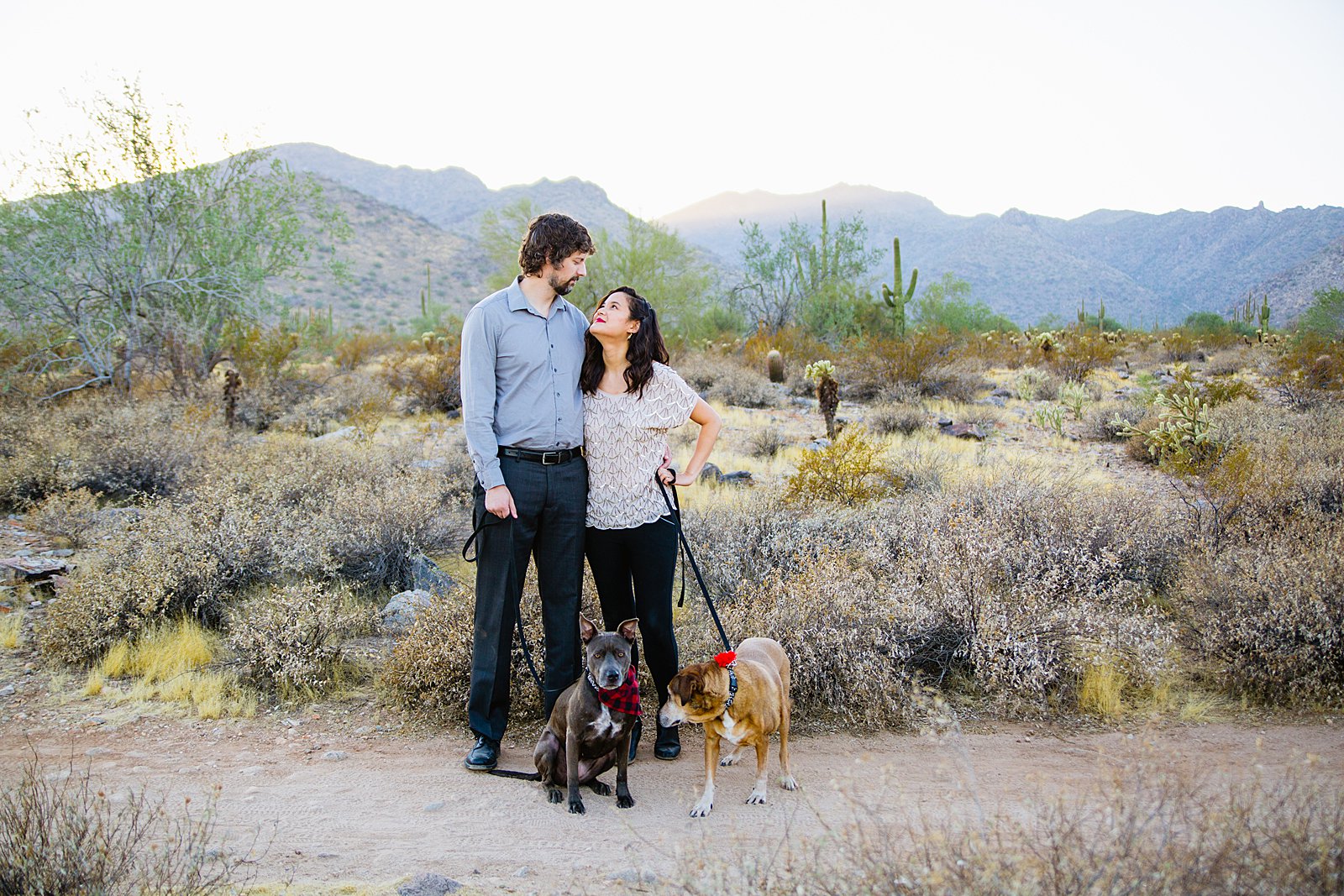 Couple looks at each other with their dogs hanging out during their White Tanks family session by PMA Photography.