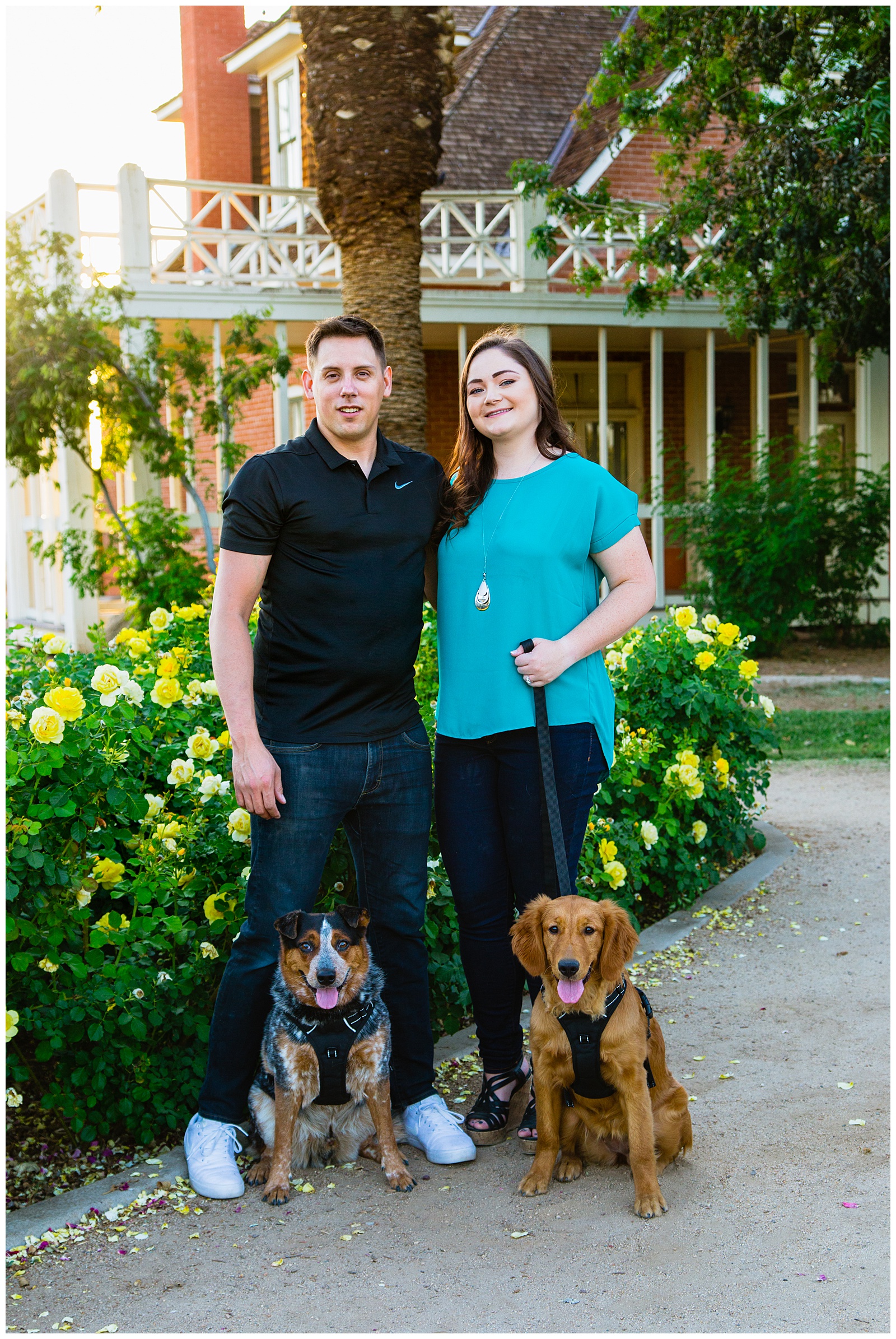 Couple pose with their dogs during their Glendale engagement session by Arizona wedding photographer PMA Photography.
