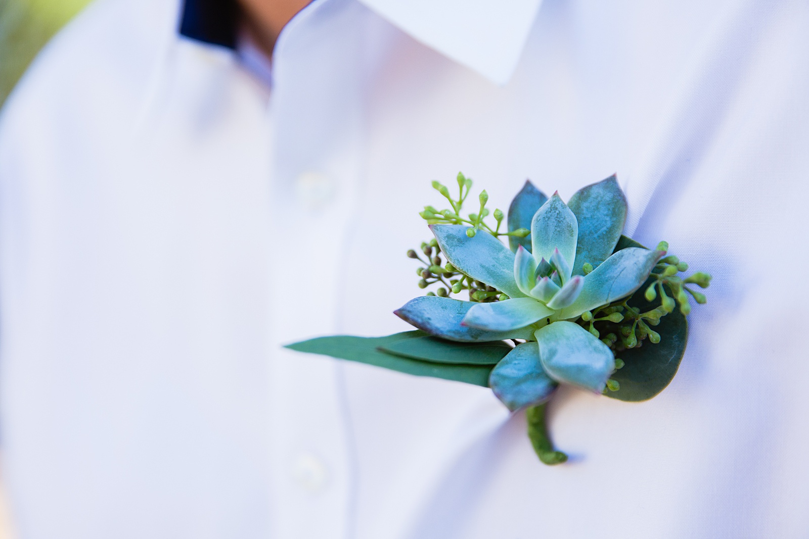Groom's blue succulent and eucalyptus boutonniere by PMA Photography.