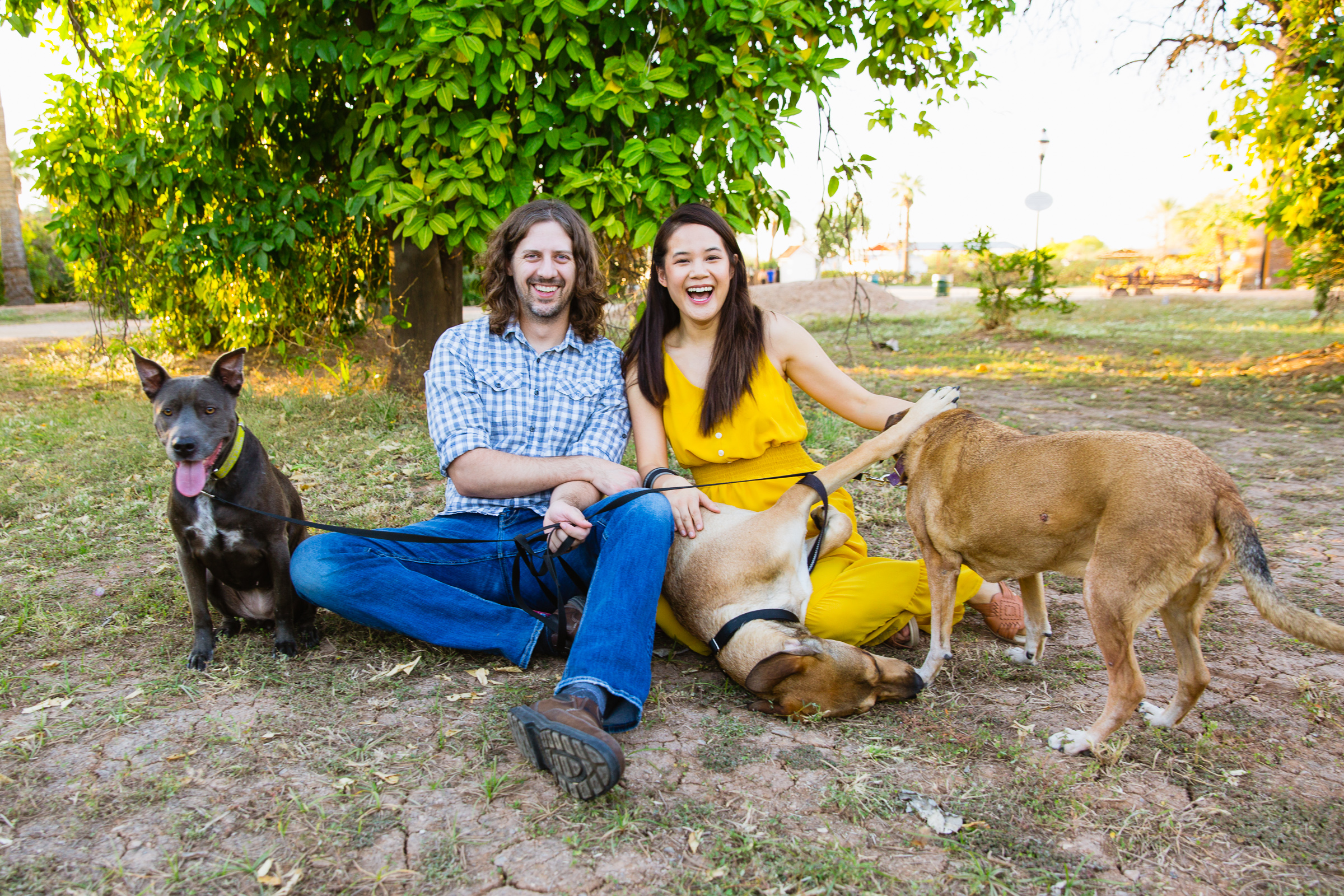 Couple laugh together with their dogs during their Glendale anniversary session by Arizona engagement photographer PMA Photography.
