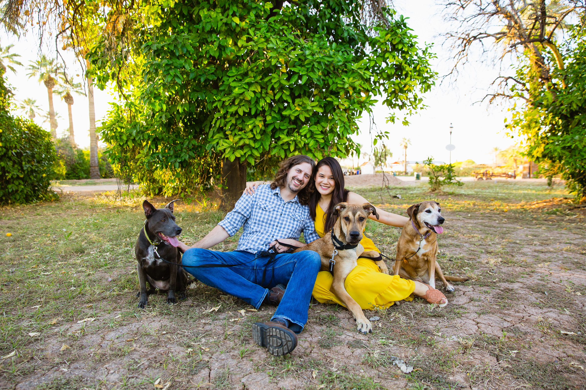 Couple pose with their dogs for their Sahuaro Ranch anniversary session by Glendale wedding photographer PMA Photography.