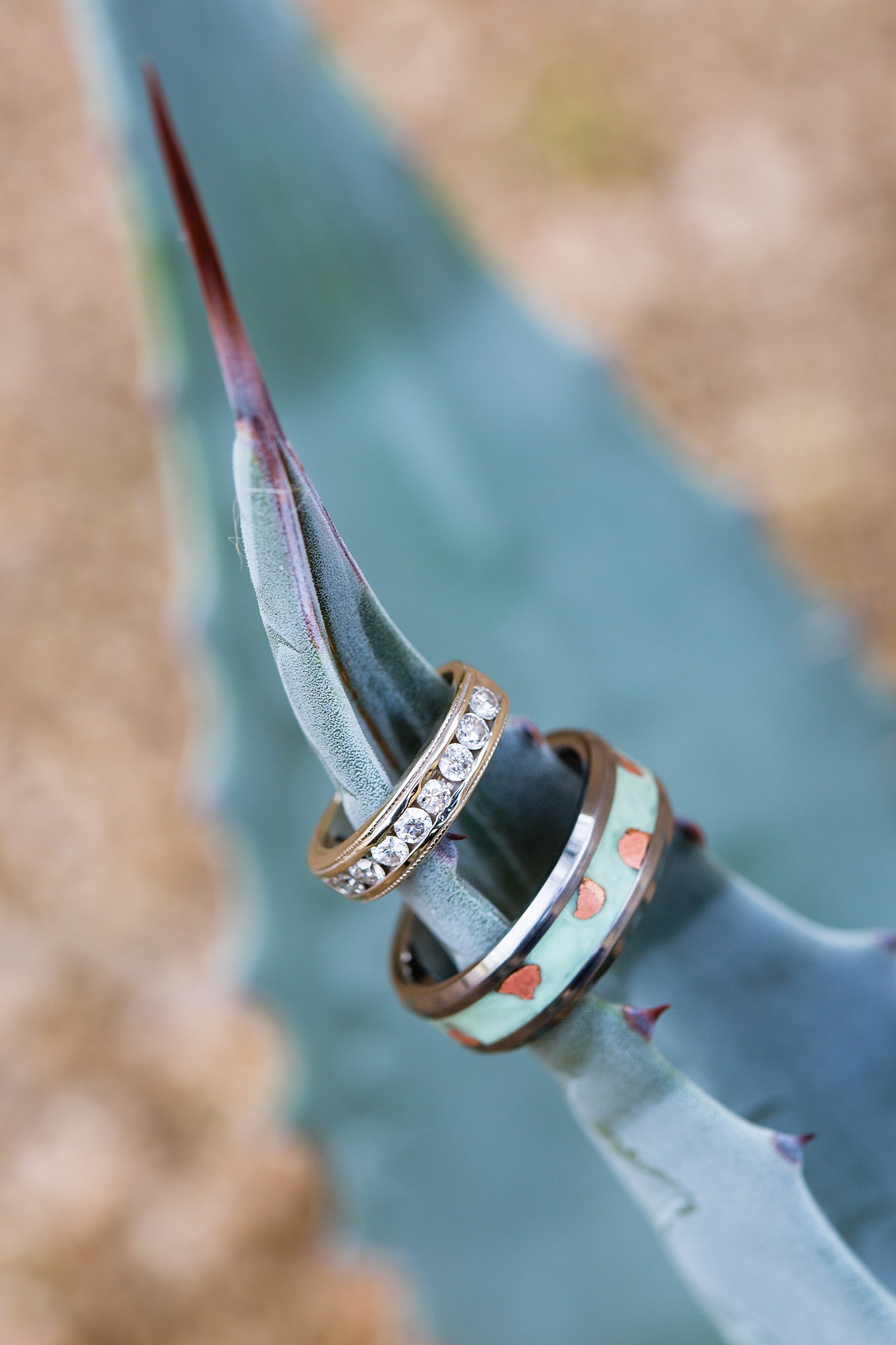 Custom wedding rings on a blue agave leaf by PMA Photography.