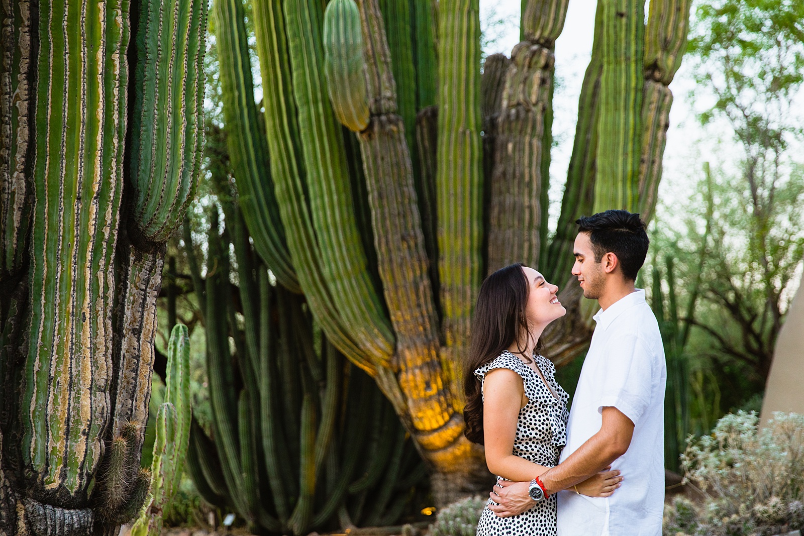 Couple look at each other during their Desert Botanical Garden engagement session by Phoenix wedding photographer PMA Photography.