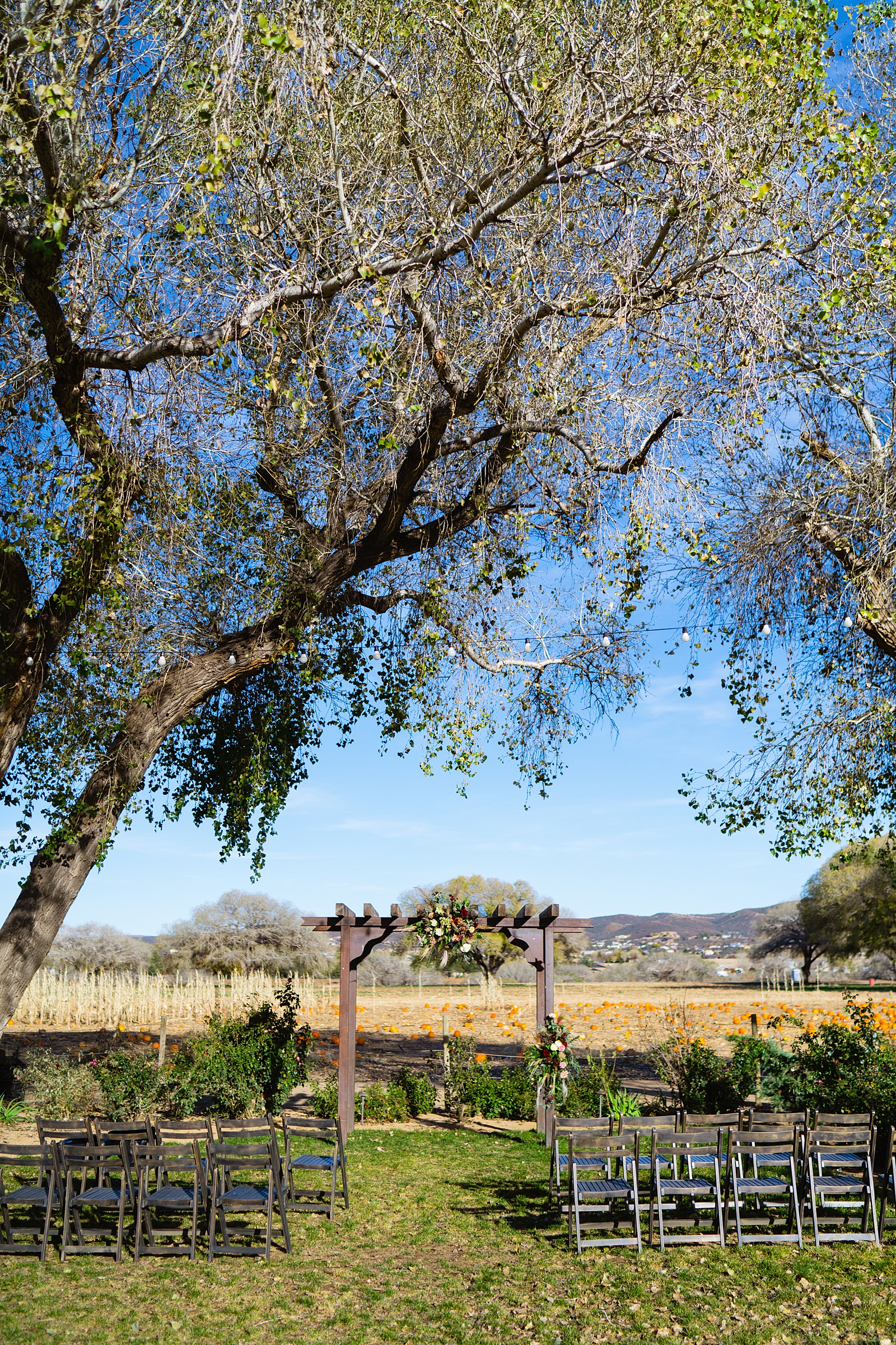 Ceremony site arch and tree at Wedding ceremony at Mortimer Farms by Arizona wedding photographer PMA Photography.