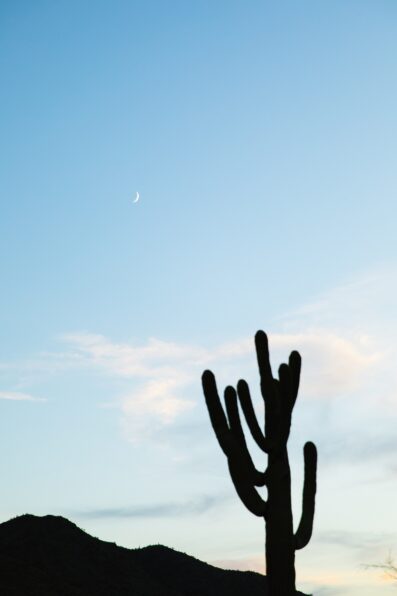 Detail image of moon and cactus at couple's engagement location; South Mountain in Phoenix by PMA Photography.