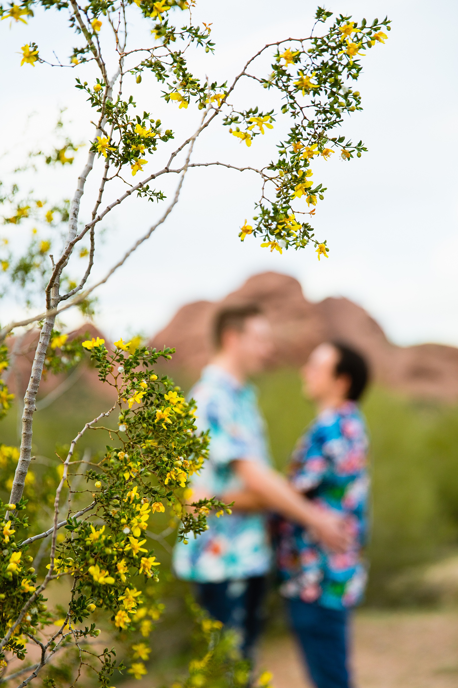 Couple look at each other during their Papago Park engagement session by Tempe wedding photographer Juniper and Co Photography.
