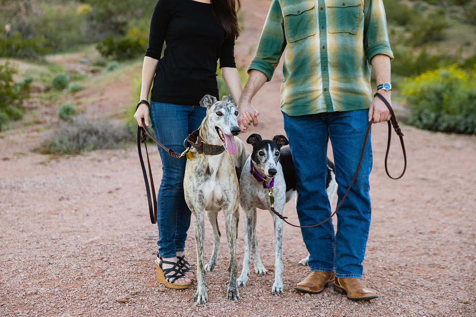 Detail image of couple's engagement session dogs by Juniper and Co Photography.