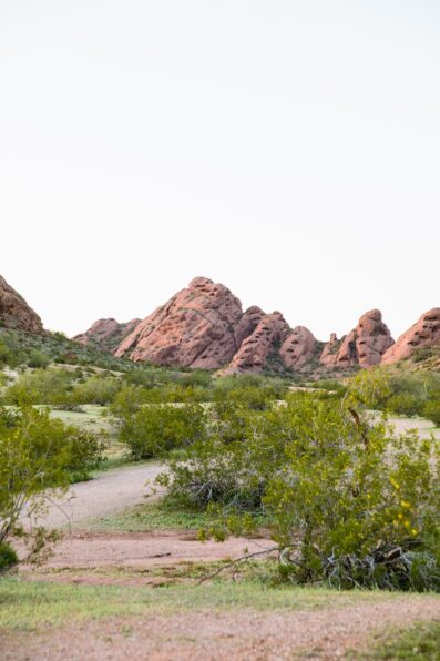 Detail image of couple's engagement session location, Papago Park, by Juniper and Co Photography.